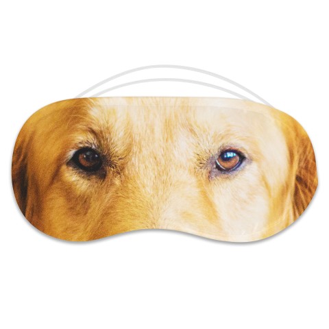 with Labrador Dog Design Polyester (Personalised with Text)
