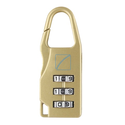 - Bronze Padlock