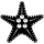 Starfish & Shell