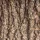 Bark