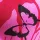 Butterfly on Fuchsia